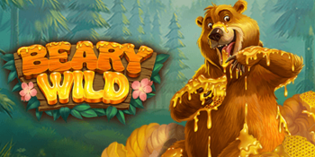 Beary Wild
